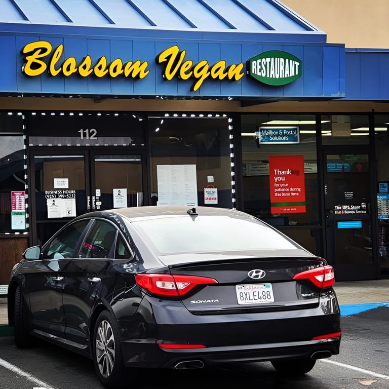Welcome To Blossom Vegan